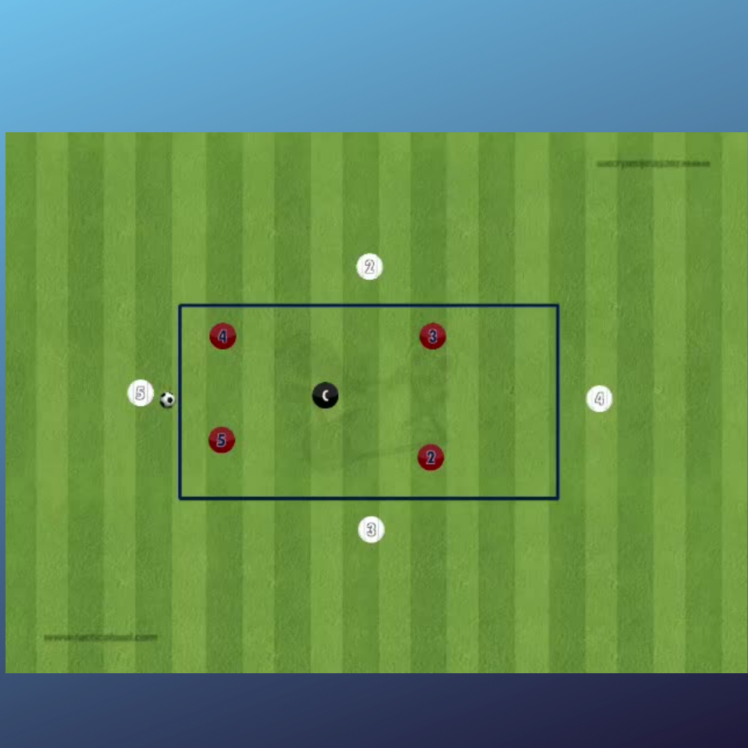 Rondo - Conservación