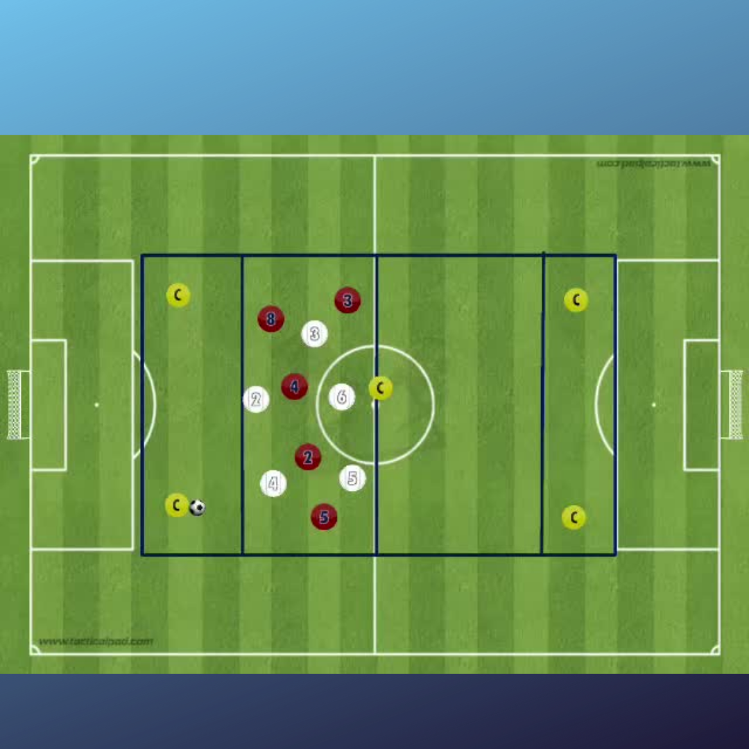 Conservación con transiciones