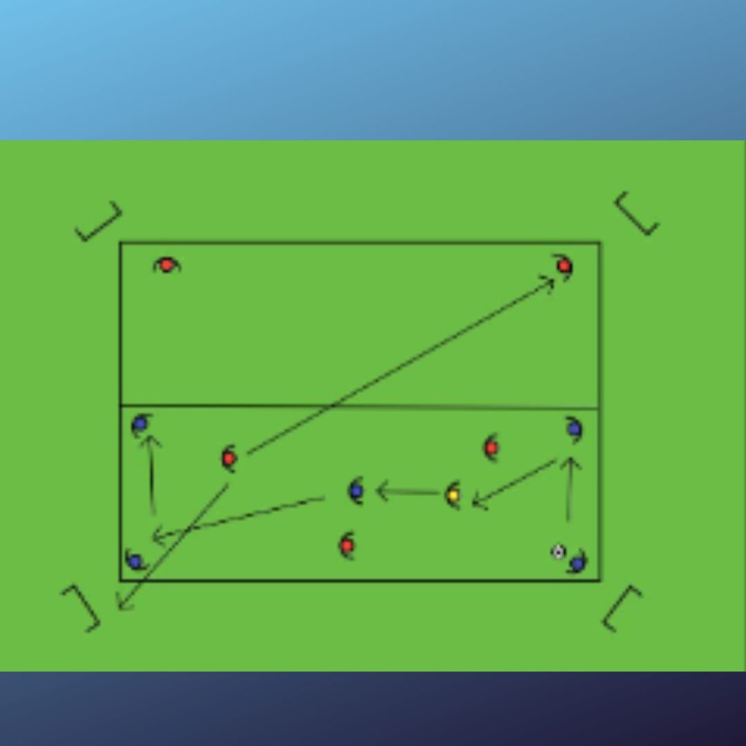 Conservación: Robar y decidir