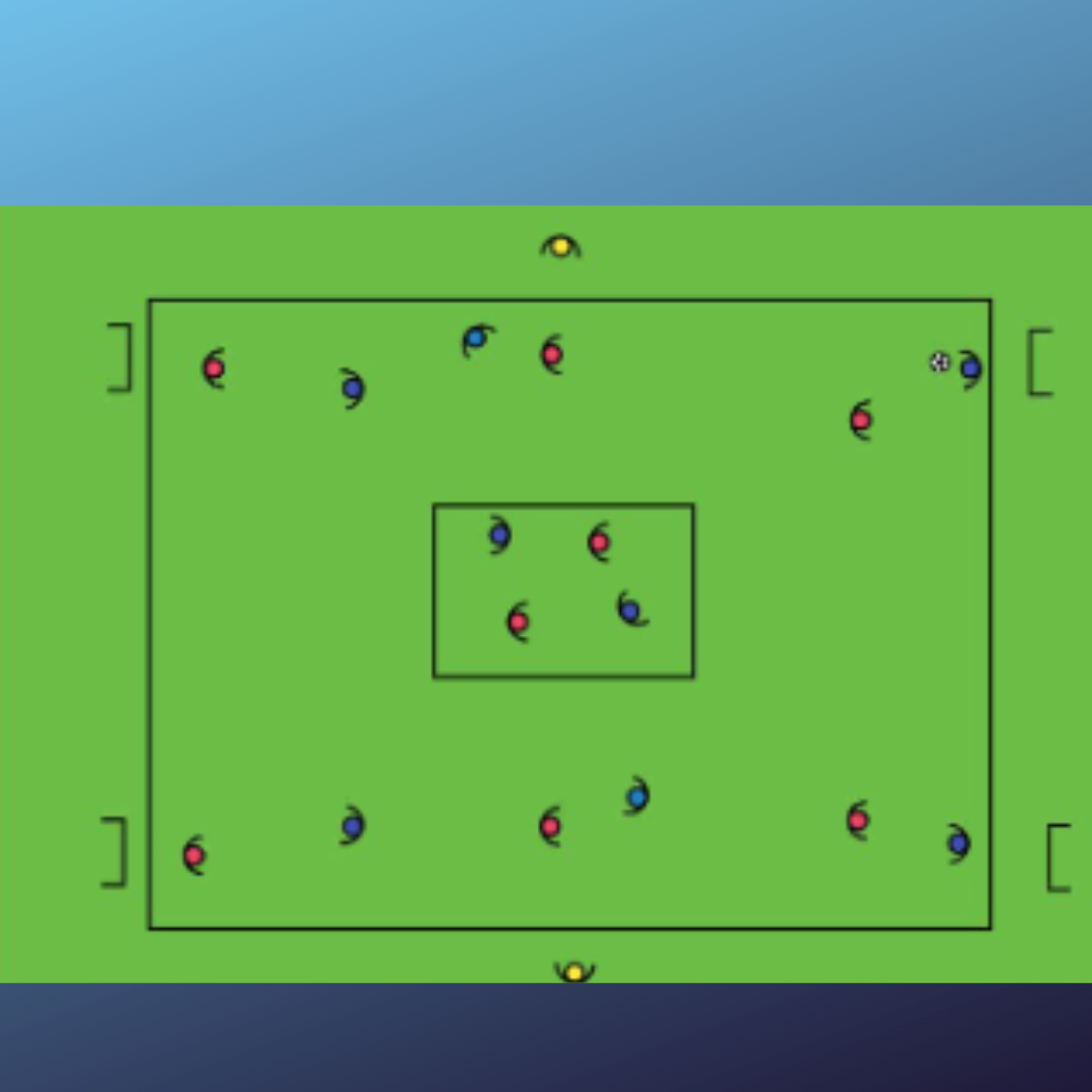 Conservación: Comportamiento de medio centro con balón