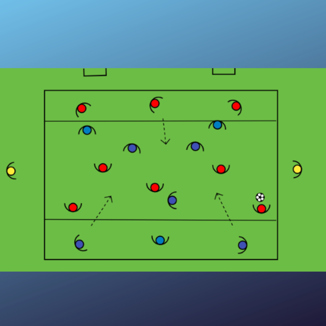 Conservación condicionada 3-5-2