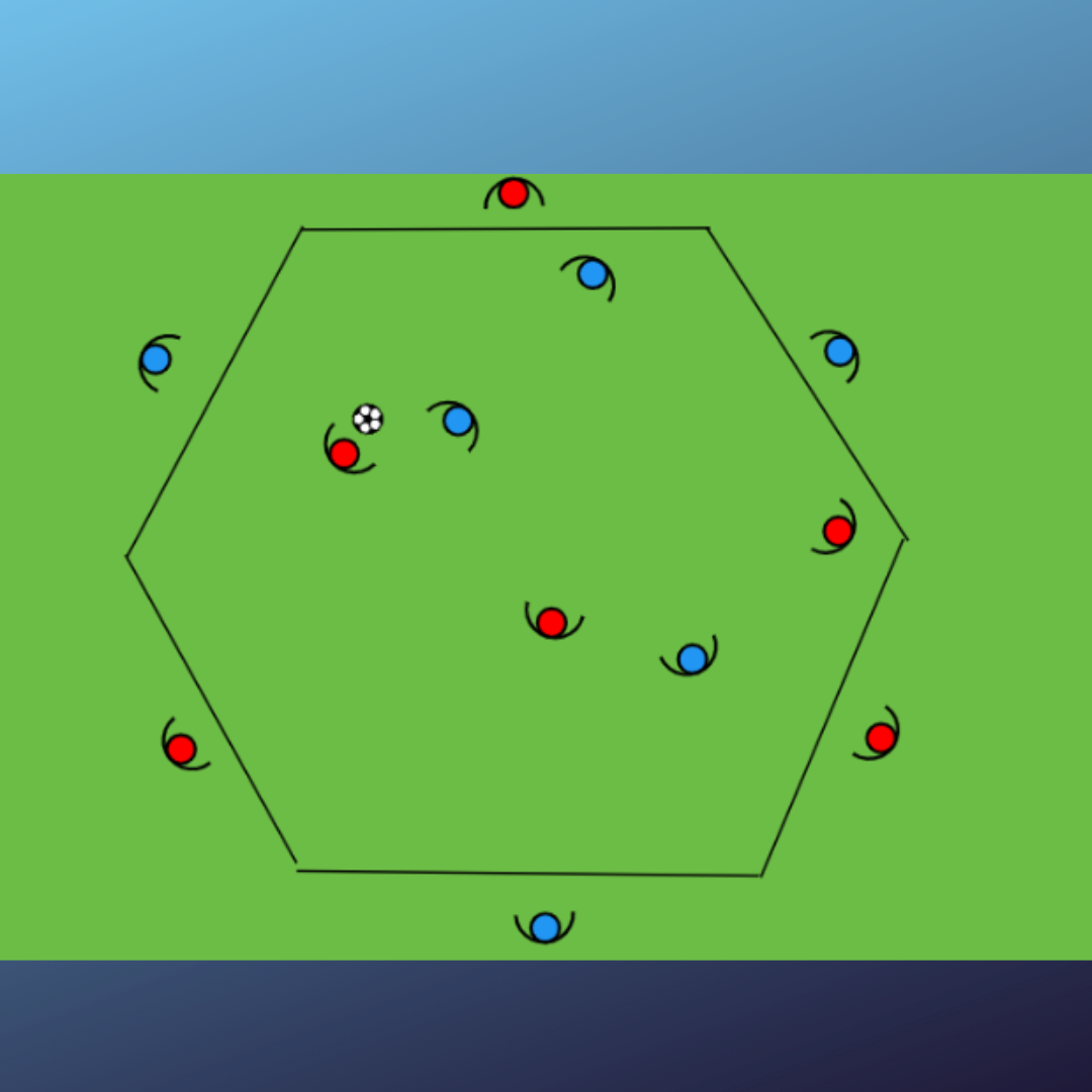 Conservación hexagonal