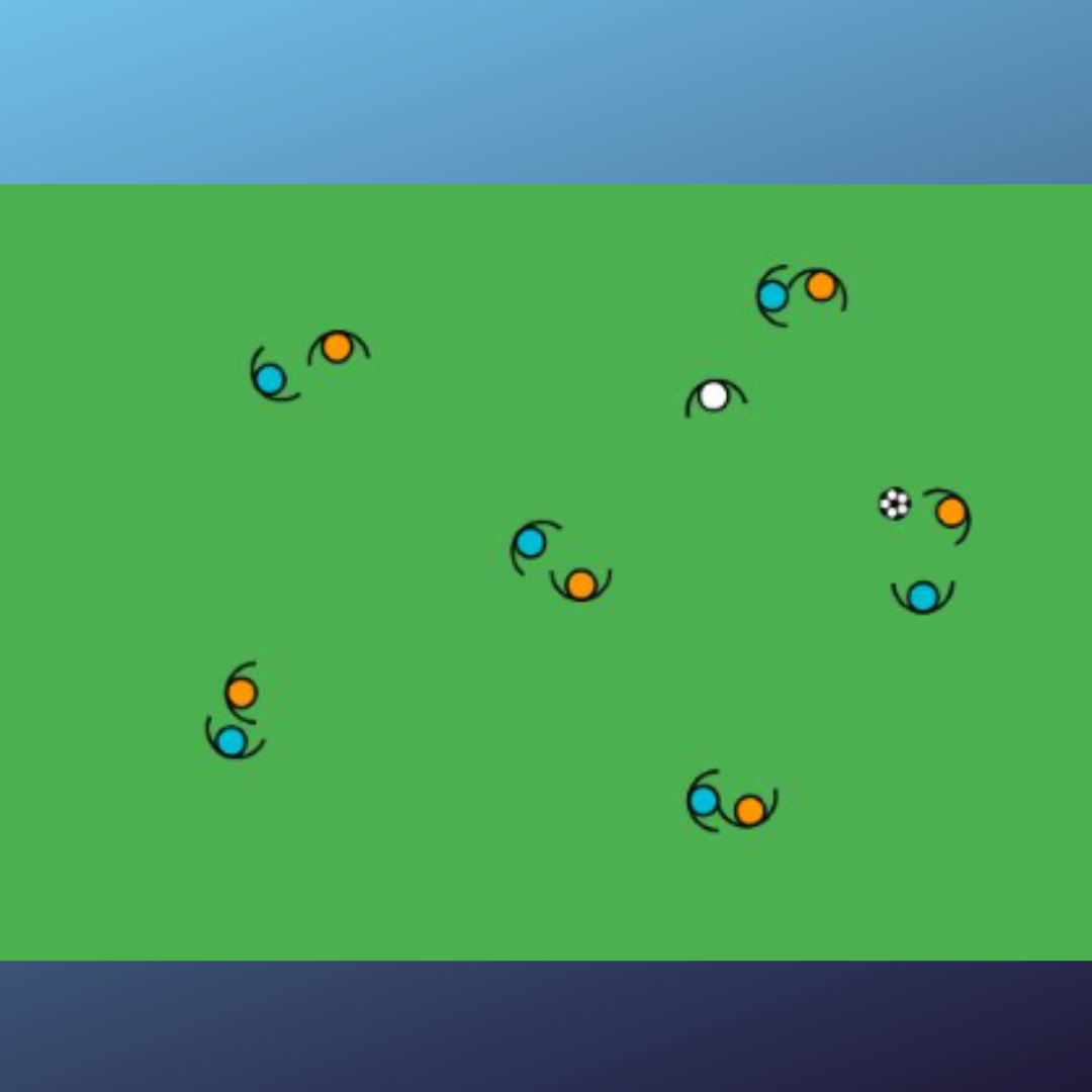 Conservación con marcaje individual + 1k